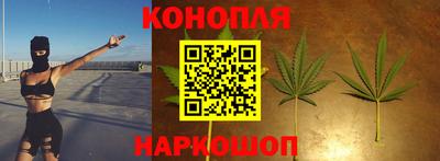 мдпв Ипатово
